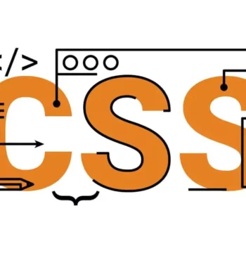 Css Wordpress